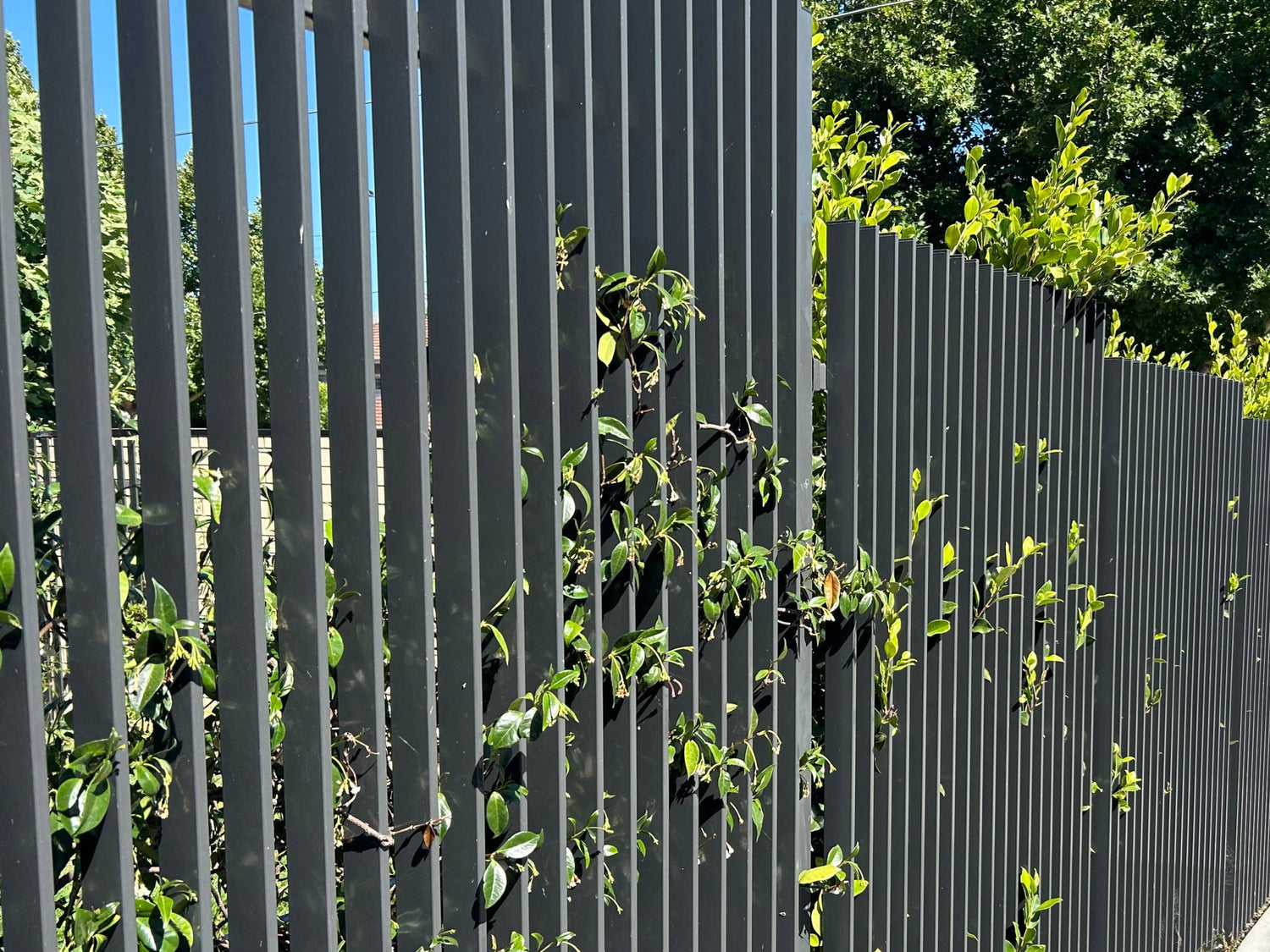 Fences
