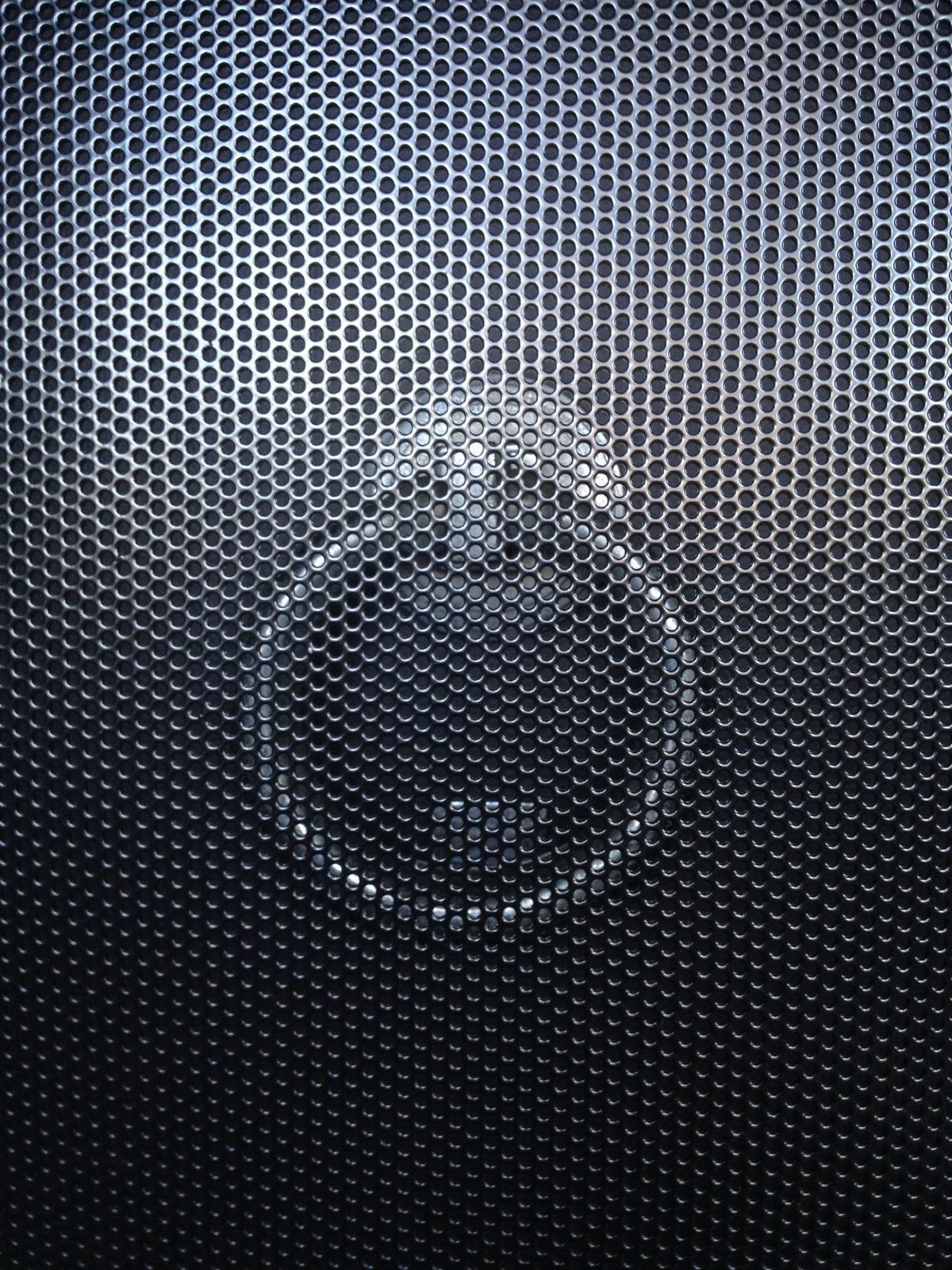 Perforated Aluminium Security Door Mesh Black