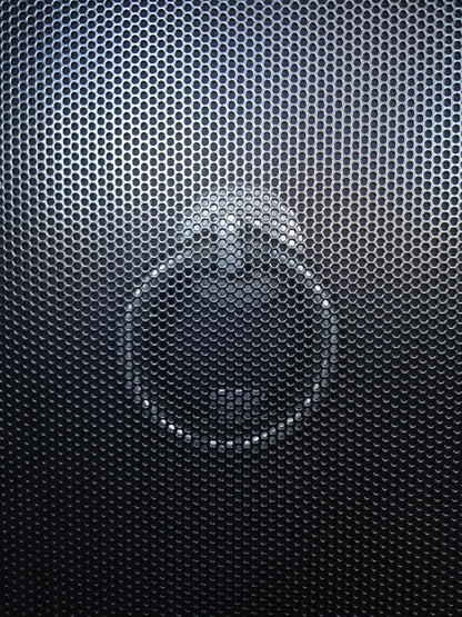 Perforated Aluminium Security Door Mesh Black